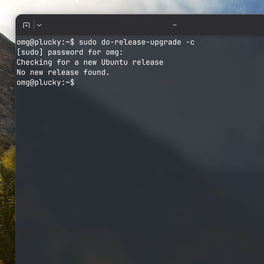 Terminal output showing no new release found.