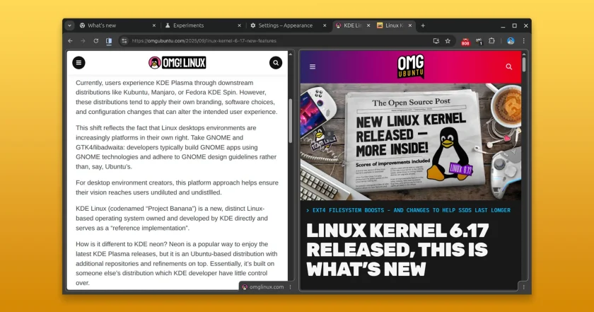Split View in Google Chrome browser showing two websites side by side. 