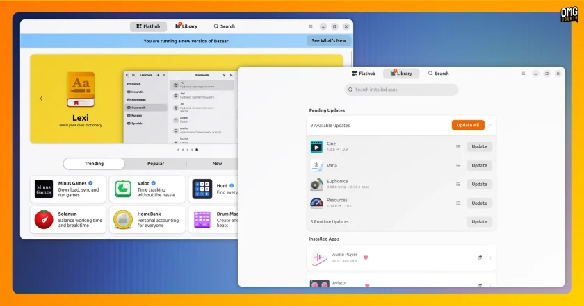 Bazaar Linux app new library page and updated slideshow carousel.