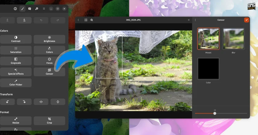 Censor filter tool in gThumb 4.0 alpha.