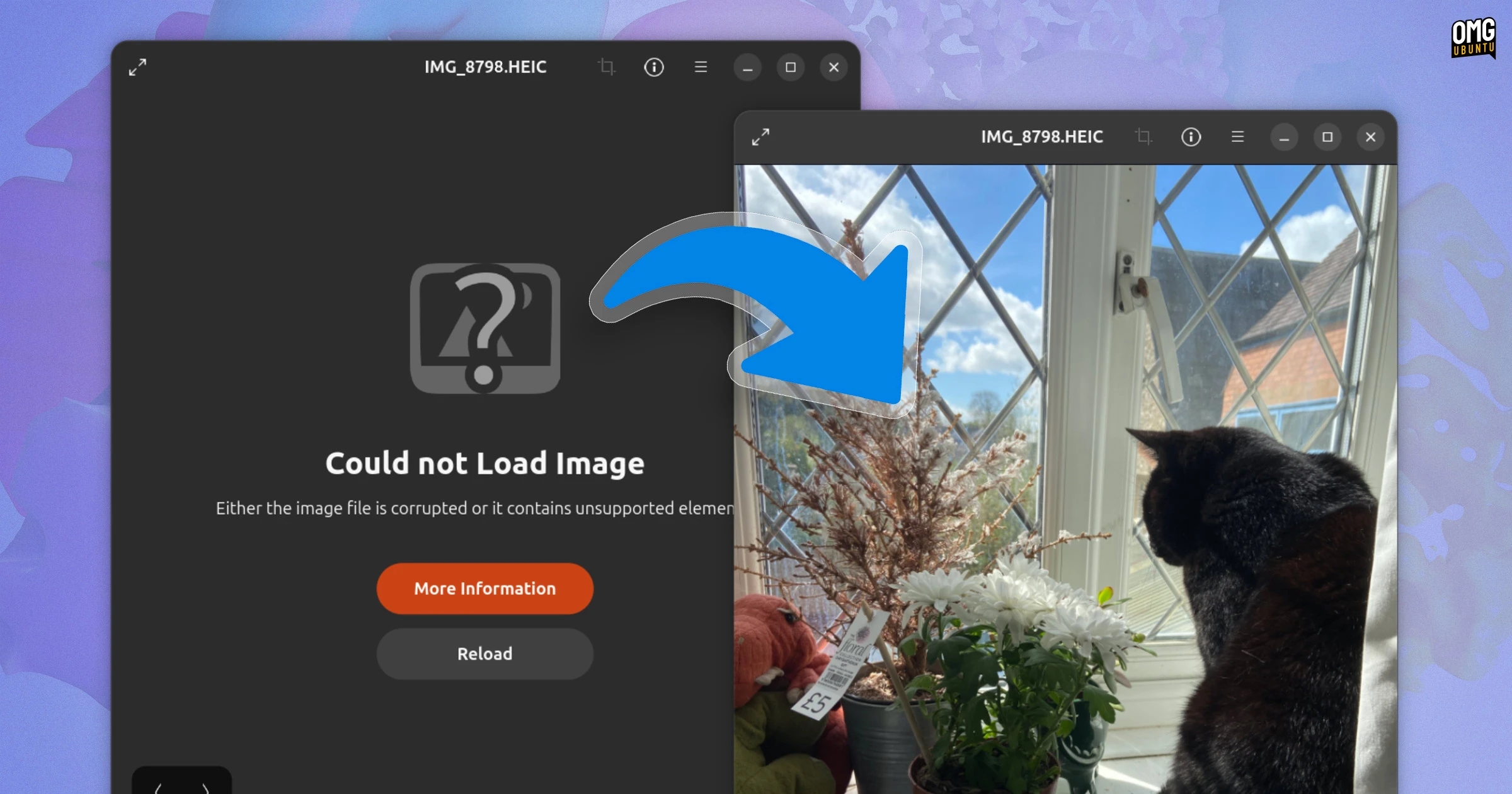 A Complete Guide to Resolving HEIC Image Loading Errors in Ubuntu 26.04 LTS