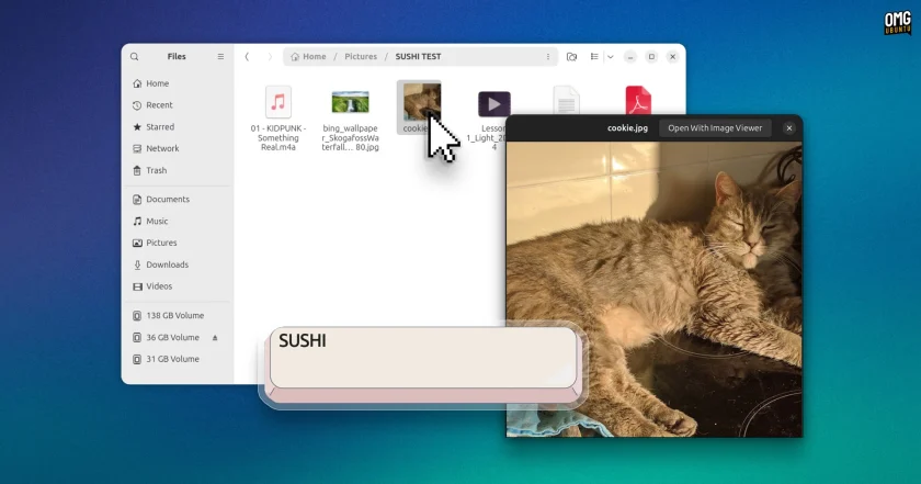Graphic showing GNOME Sushi file preview tool.