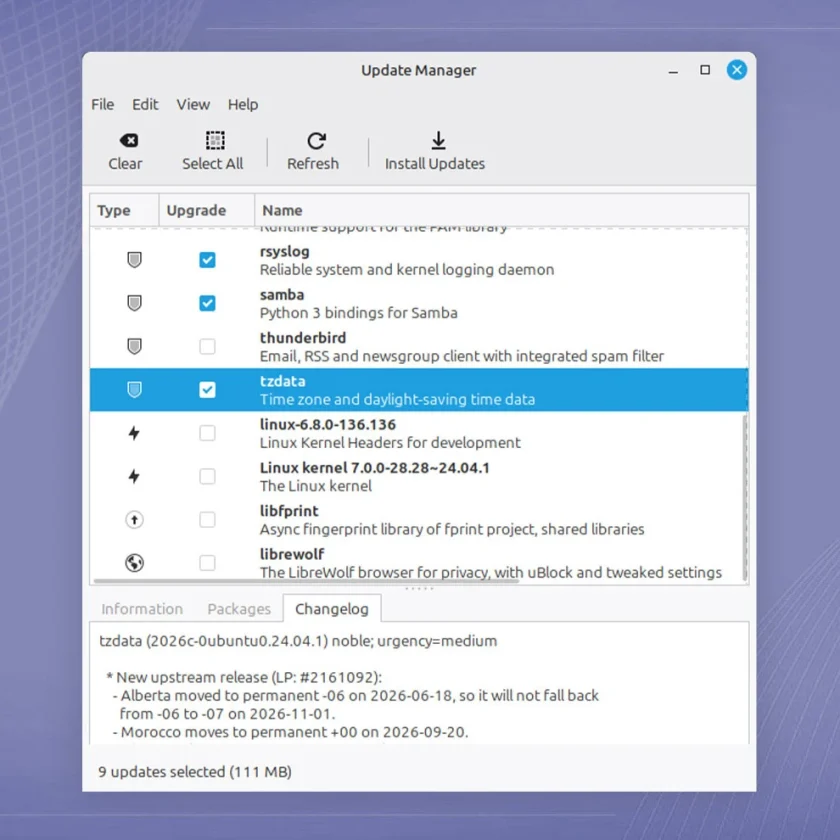 Update Manager in Linux Mint showing update to tzdata