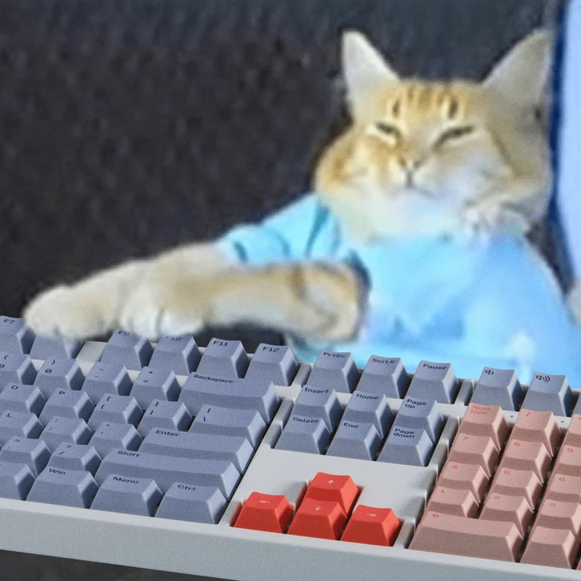 Firefox keyboard store listing with cat