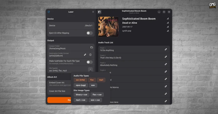 Laser GTK4 cd ripping tool