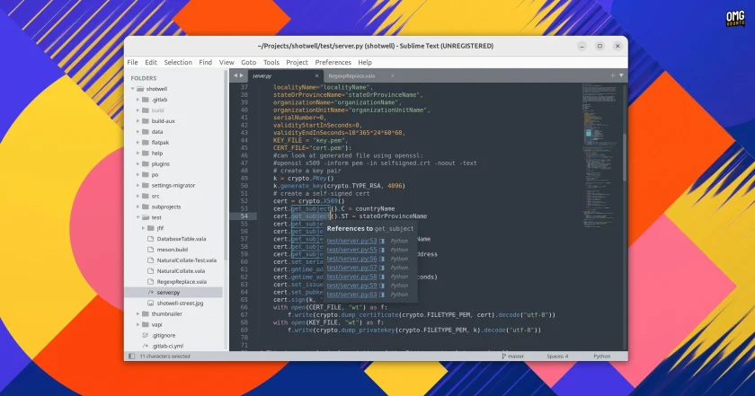 Sublime Text on Ubuntu showing a Python file open